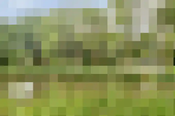 Bergdreef 151 Breda thumbnail 33