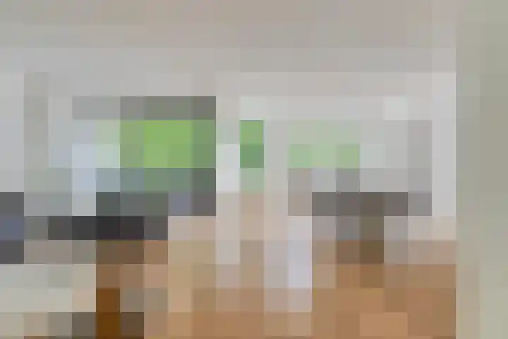 Bergdreef 151 Breda thumbnail 6