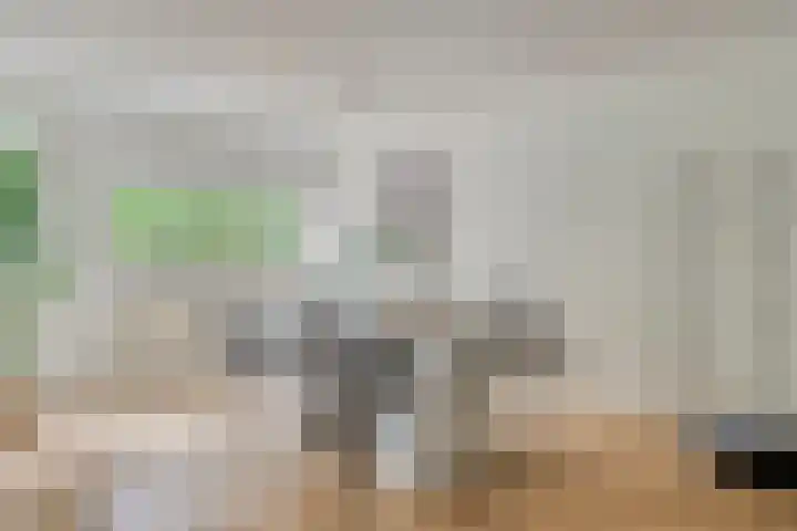 Bergdreef 151 Breda thumbnail 8