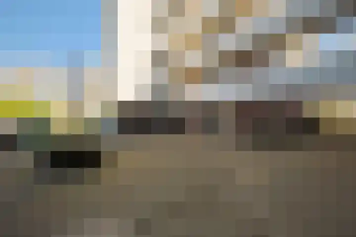Bergdreef 179 Breda thumbnail 43