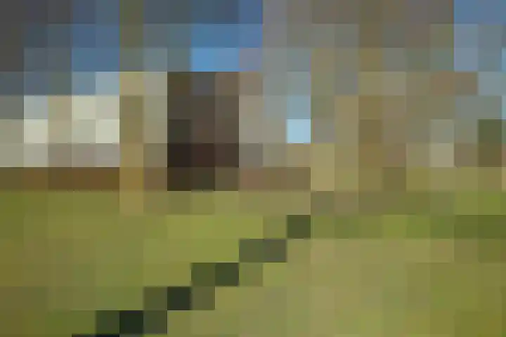 Bergdreef 179 Breda thumbnail 44