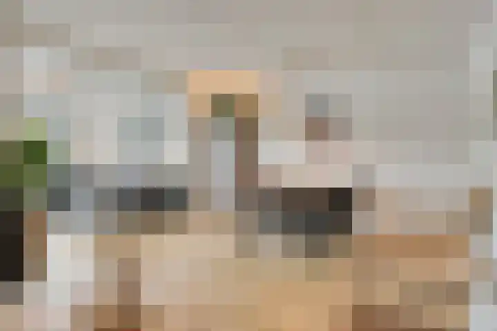 Bergdreef 68 Breda thumbnail 18