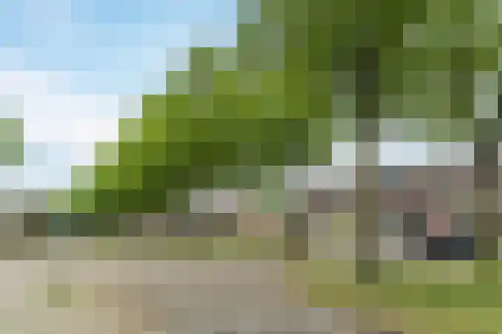 Bergdreef 83 Breda thumbnail 43