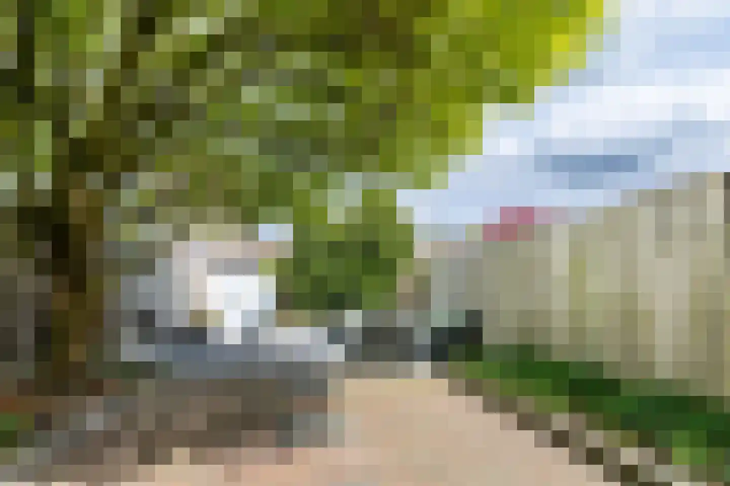 Bergdreef 91 Breda thumbnail 19