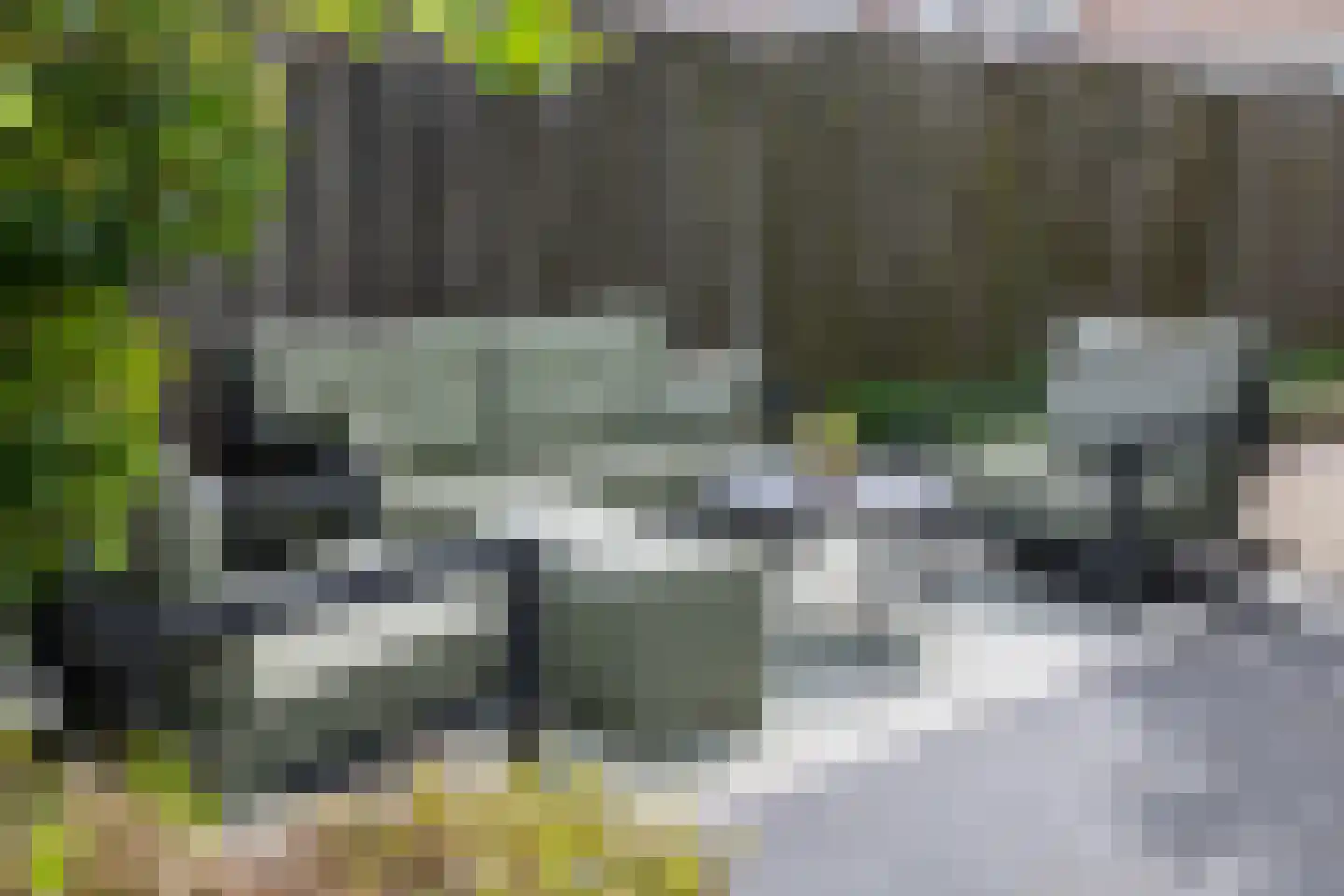 Bergdreef 91 Breda thumbnail 21