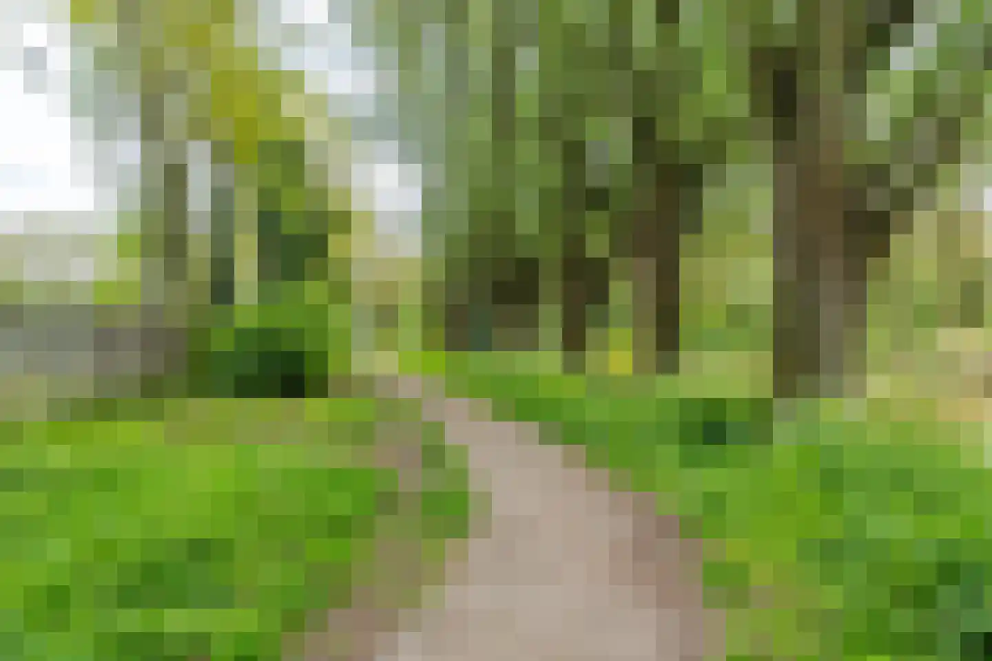 Bergdreef 91 Breda thumbnail 35