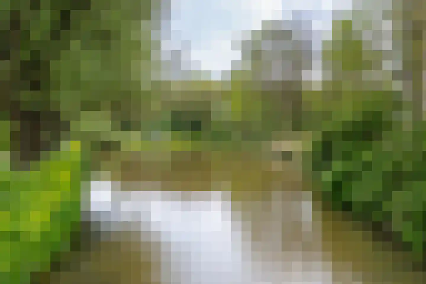 Bergdreef 91 Breda thumbnail 36