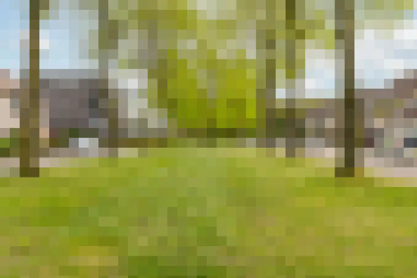 Bergdreef 91 Breda thumbnail 38
