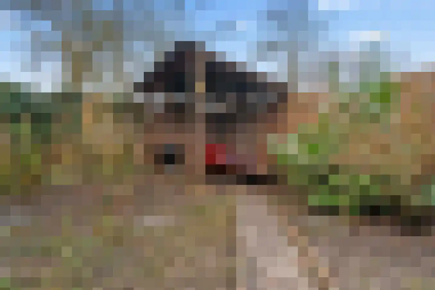 Bergeend 22 Nieuwegein thumbnail 42