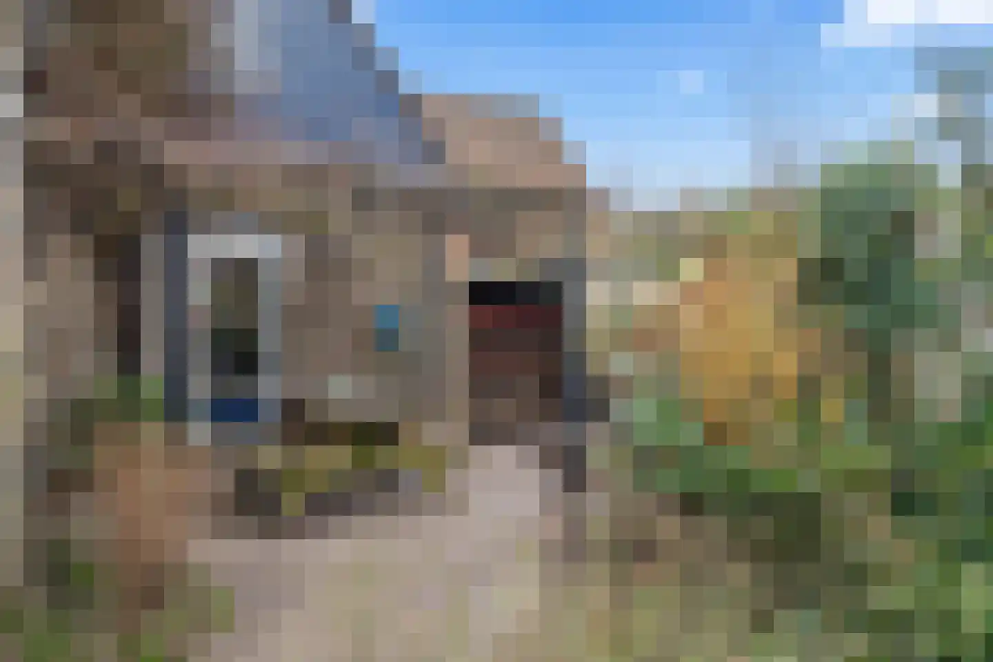 Bergeend 22 Nieuwegein thumbnail 48