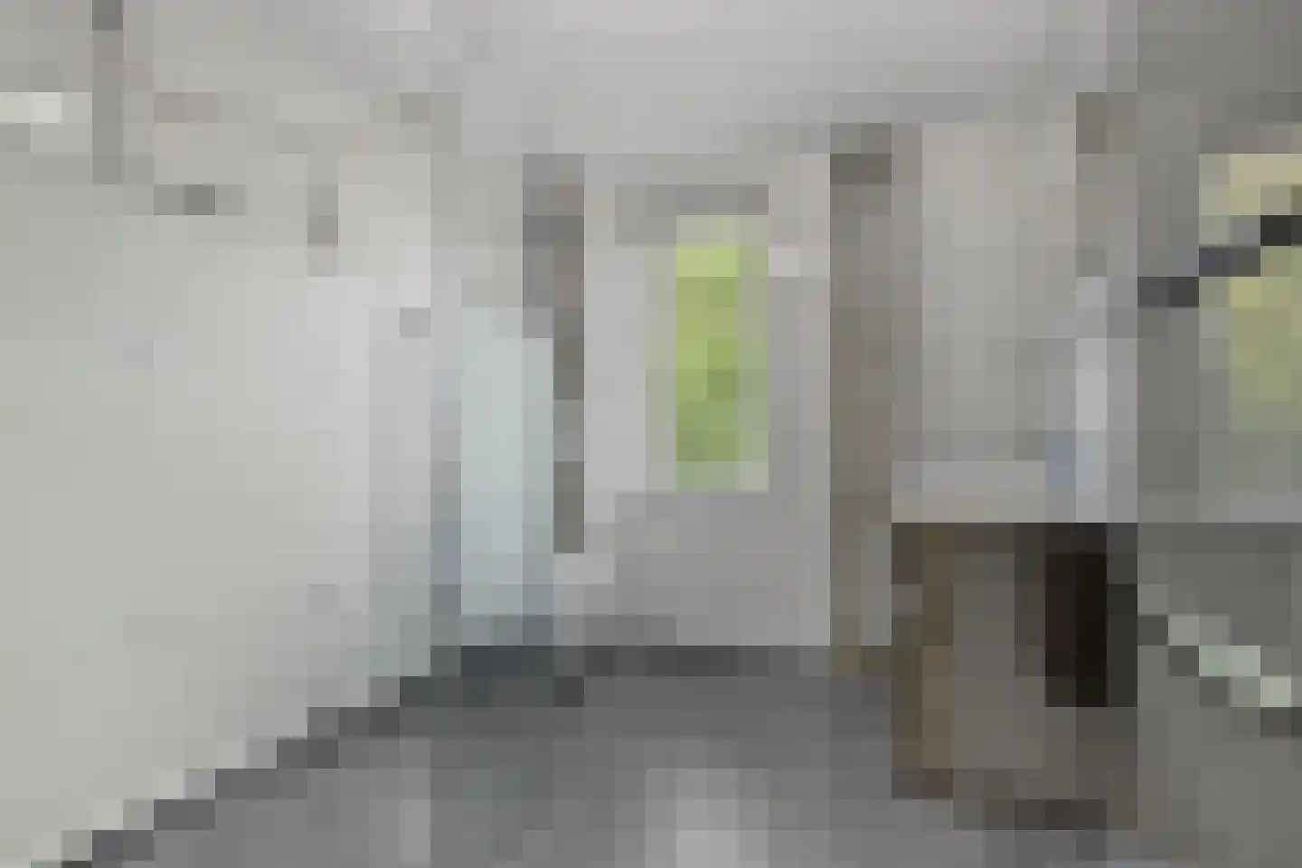 Bergeend 25 Monster thumbnail 22