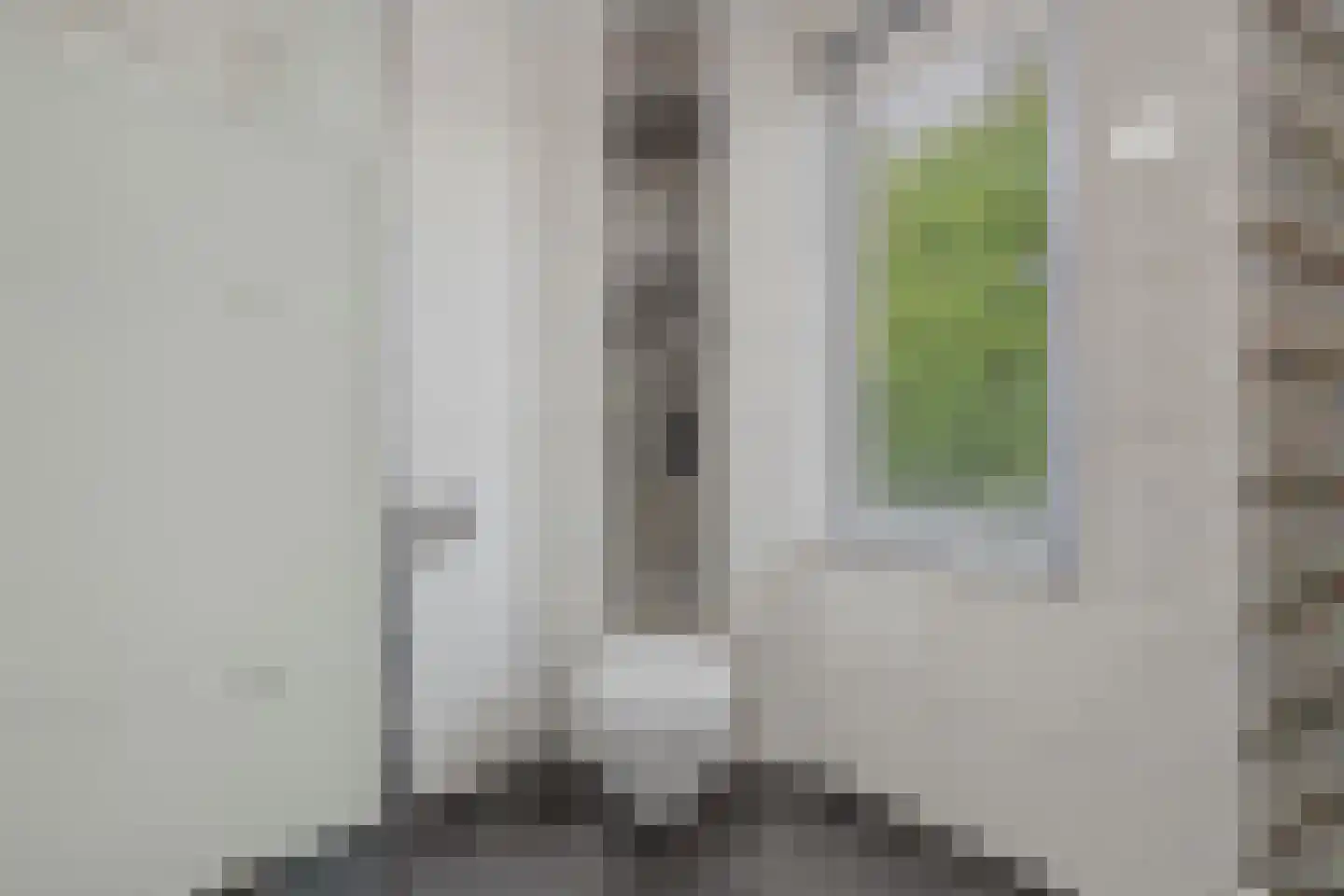 Bergeend 25 Monster thumbnail 24
