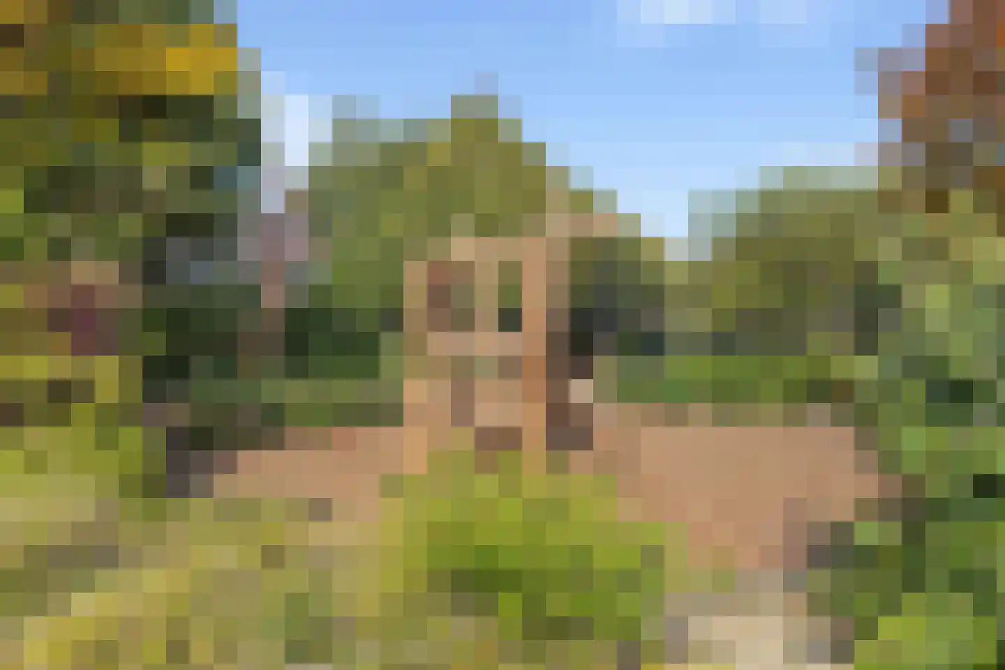 Bergeend 25 Monster thumbnail 42