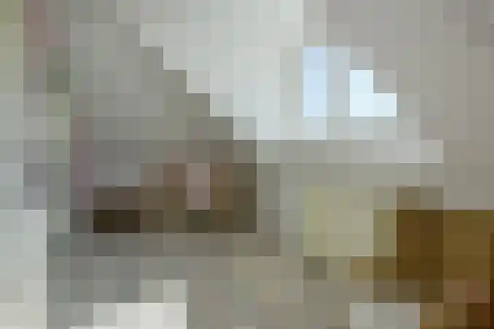 Bergeend 43 Uithoorn thumbnail 23
