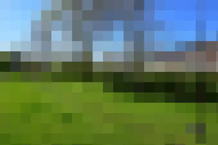 Bergeend 43 Uithoorn thumbnail 34
