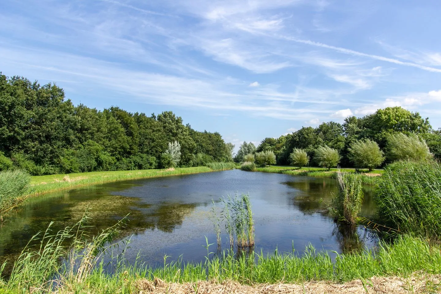 Bergeendlaan 10 Almere thumbnail 72