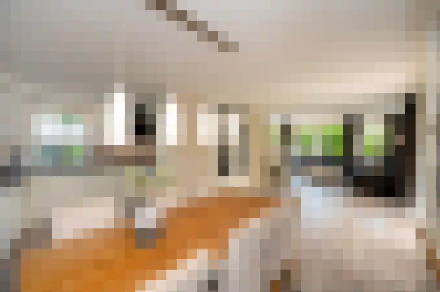Bergeendlaan 23 Almere thumbnail 6