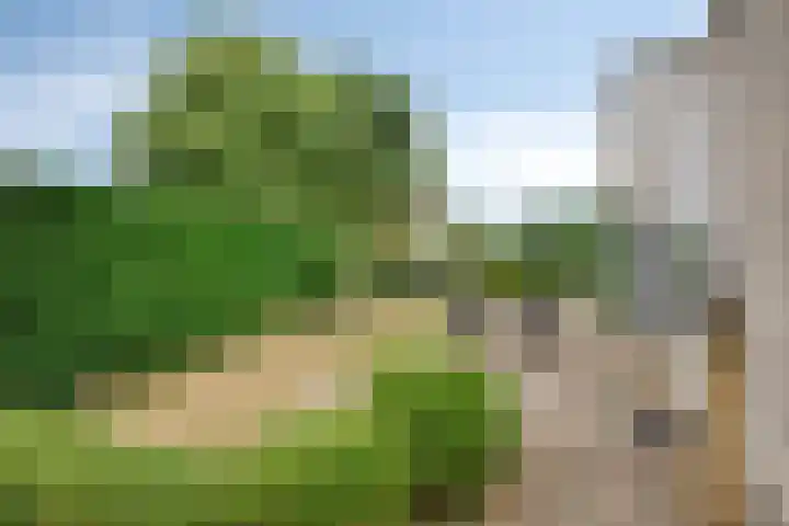 Bergeendstraat 6 Hengstdijk thumbnail 19