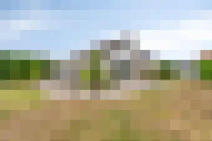 Bergeendstraat 6 Hengstdijk thumbnail 21