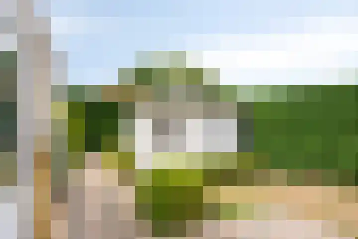 Bergeendstraat 6 Hengstdijk thumbnail 22
