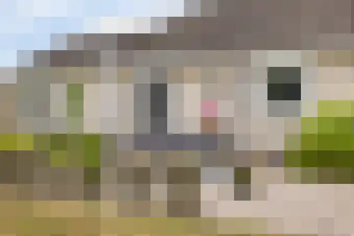Bergeendstraat 6 Hengstdijk thumbnail 25