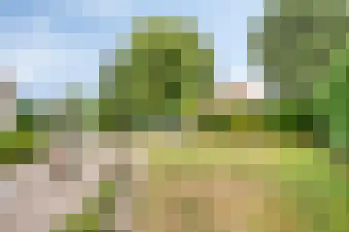 Bergeendstraat 6 Hengstdijk thumbnail 4