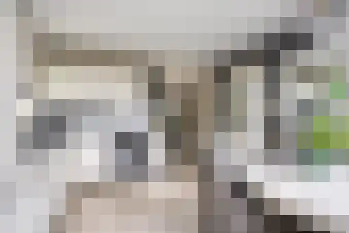 Bergeendstraat 6 Hengstdijk thumbnail 8