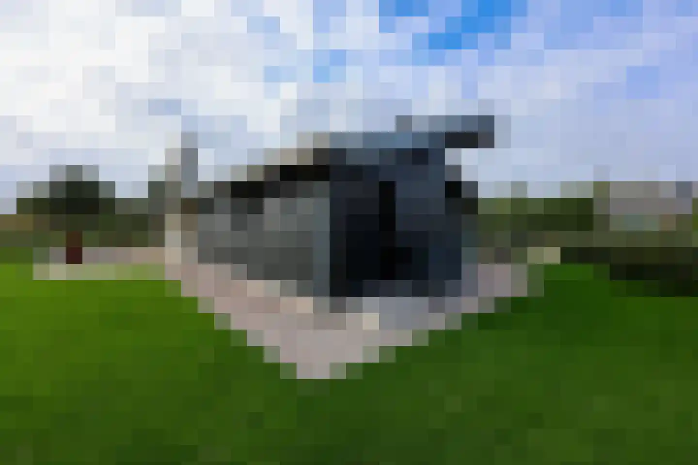 Bergeendsweg 108 Ballum thumbnail 19