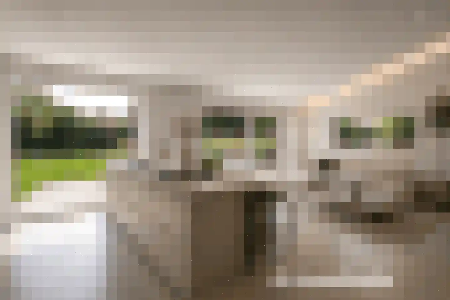 Bergeendsweg 108 Ballum thumbnail 20