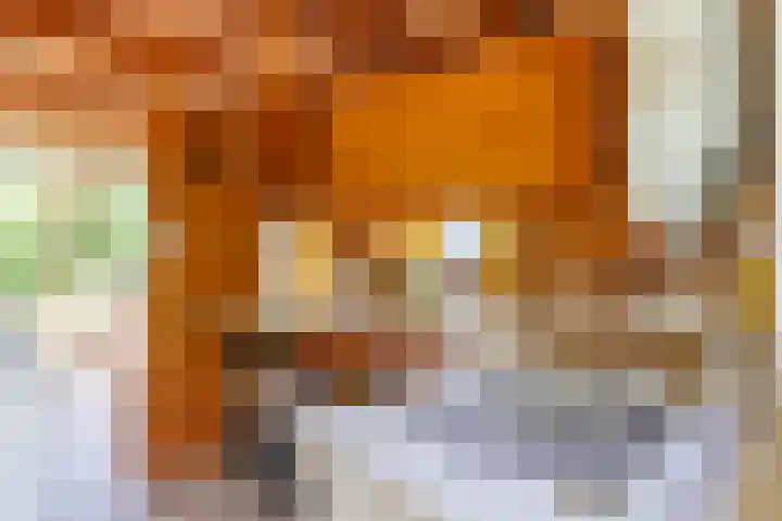 Bergeendsweg 112 Ballum thumbnail 13