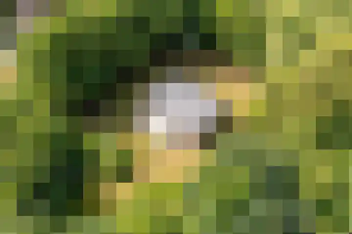 Bergeendsweg 112 Ballum thumbnail 20