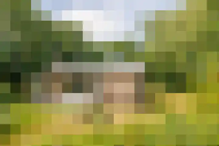 Bergeendsweg 112 Ballum thumbnail 21