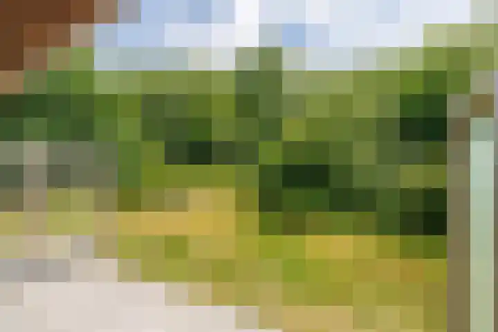 Bergeendsweg 112 Ballum thumbnail 23