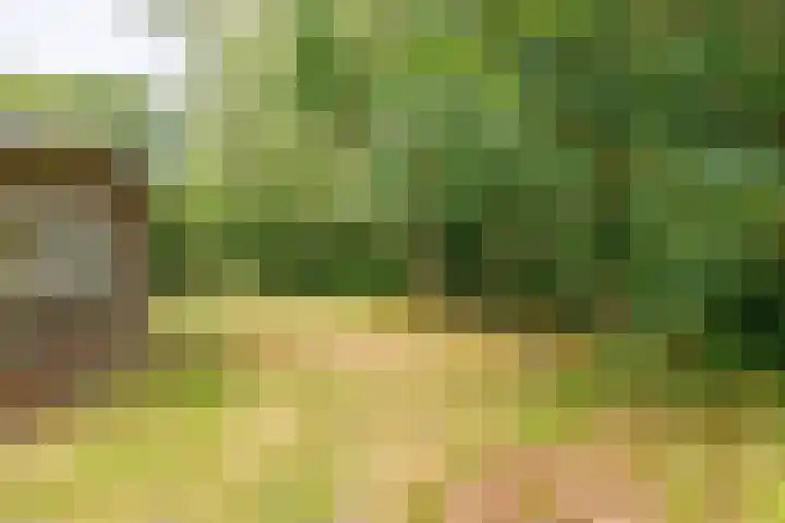 Bergeendsweg 112 Ballum thumbnail 25