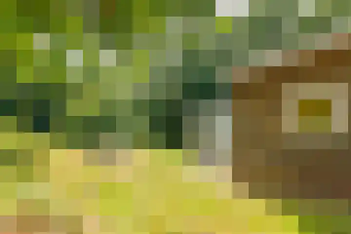 Bergeendsweg 112 Ballum thumbnail 26