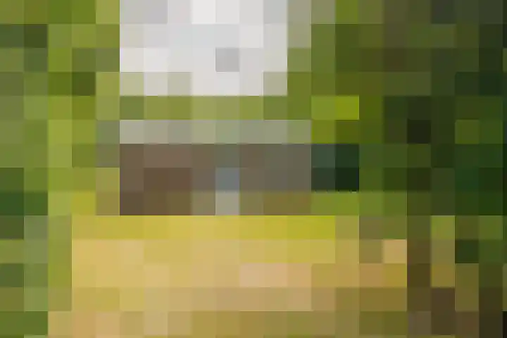 Bergeendsweg 112 Ballum thumbnail 27