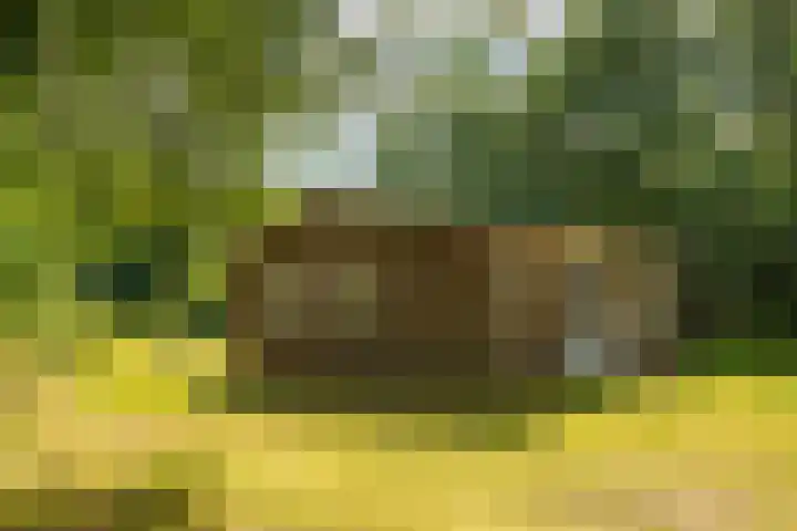 Bergeendsweg 112 Ballum thumbnail 28