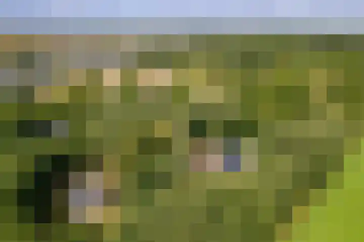 Bergeendsweg 112 Ballum thumbnail 30