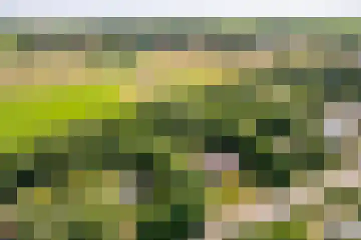 Bergeendsweg 112 Ballum thumbnail 33