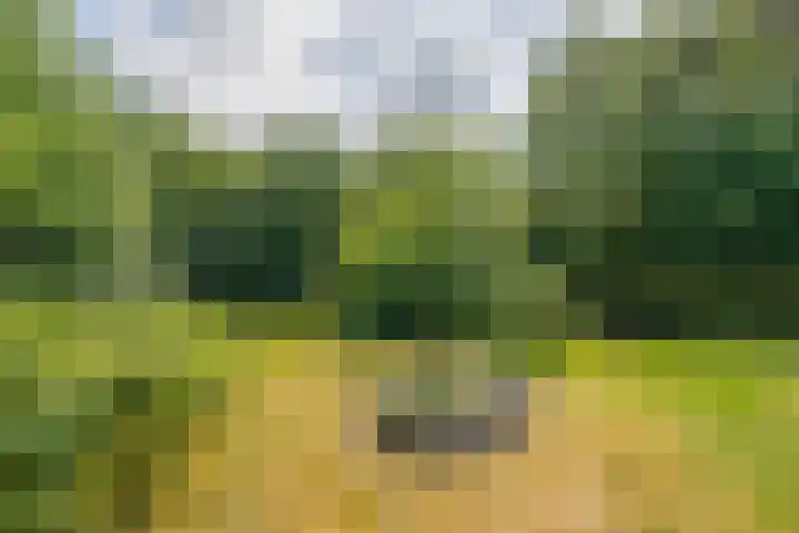 Bergeendsweg 112 Ballum thumbnail 4
