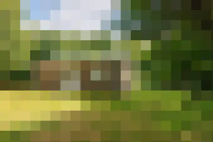 Bergeendsweg 112 Ballum thumbnail 6
