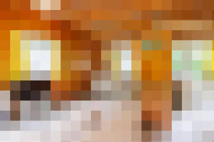 Bergeendsweg 112 Ballum thumbnail 7