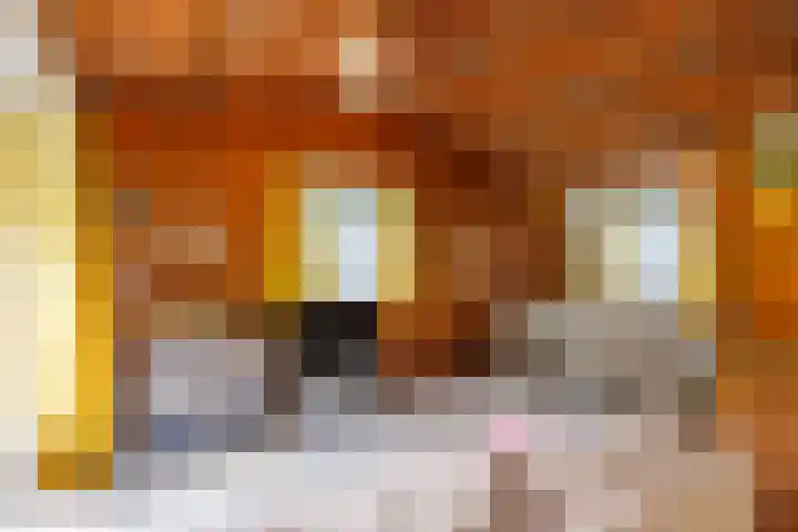 Bergeendsweg 112 Ballum thumbnail 8