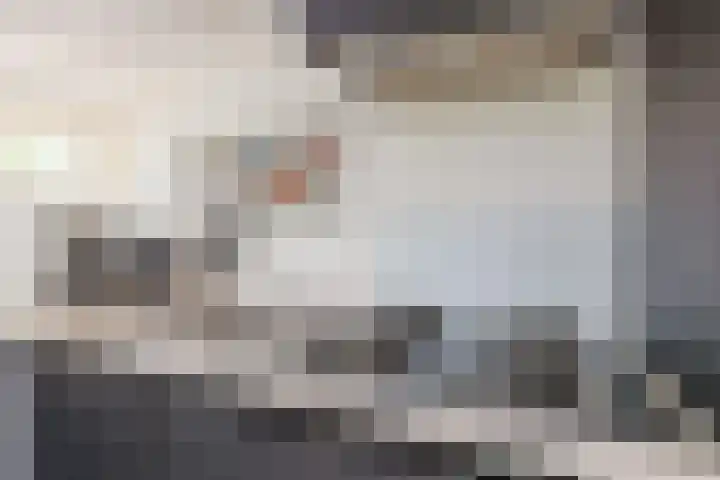 Bergeendsweg 114 Ballum thumbnail 13