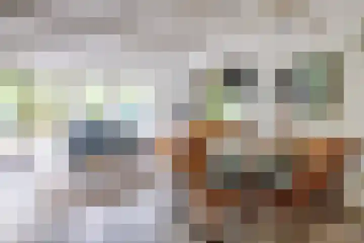 Bergeendsweg 114 Ballum thumbnail 14