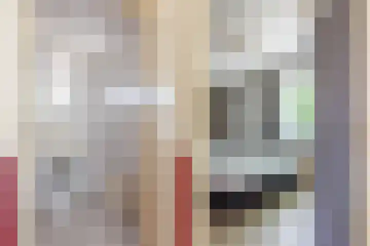 Bergeendsweg 114 Ballum thumbnail 18
