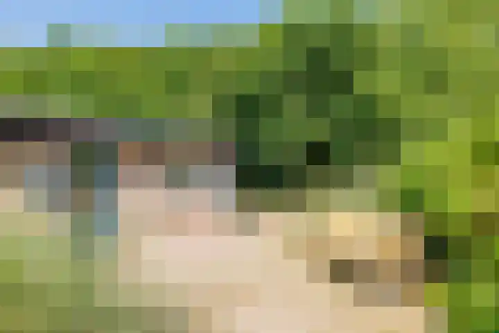Bergeendsweg 114 Ballum thumbnail 24