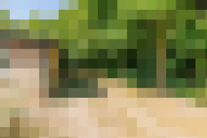 Bergeendsweg 114 Ballum thumbnail 28