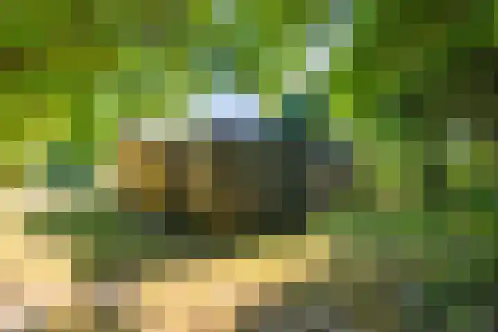 Bergeendsweg 114 Ballum thumbnail 29