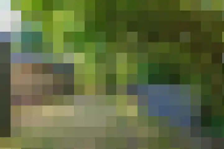 Bergeendsweg 114 Ballum thumbnail 30